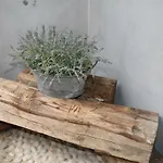 Piccola Nel Centro Storico *