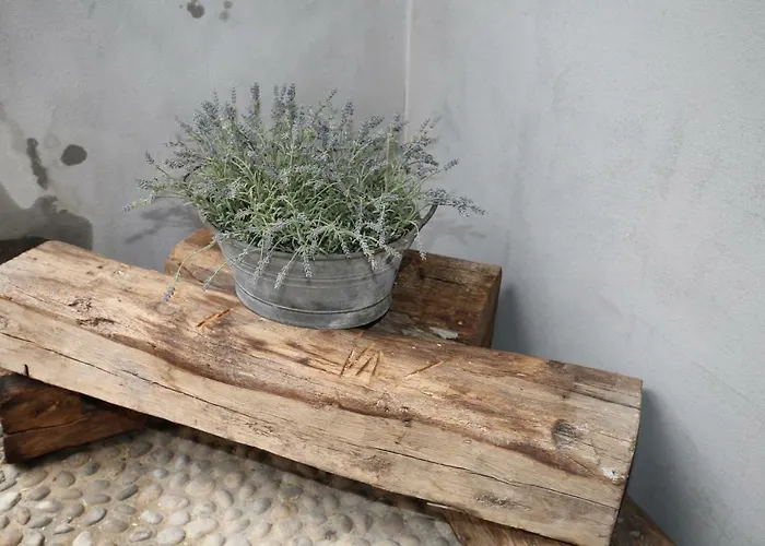 Piccola Nel Centro Storico *